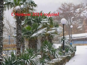 New Year Crimea 14